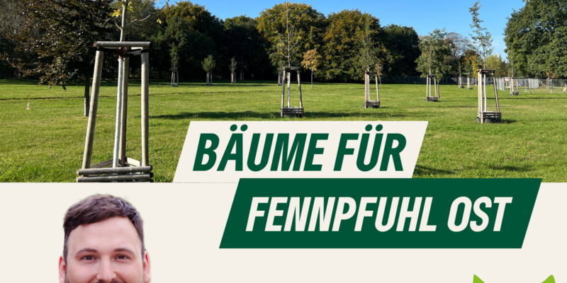 neu gepflanzte Bäume auf einer Wiese, Portrait Philipp Ahrens, Text: Bäume für Fennphul Ost