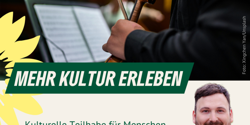 Symbolbild Ein Violinist vor einem Notenständer