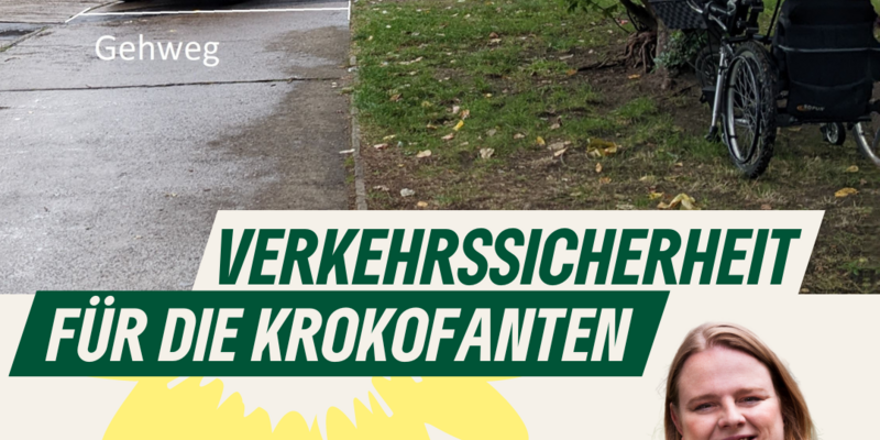 Ein Auto parkt einen Gehweg zu. Porträt von Daniela Ehlers.